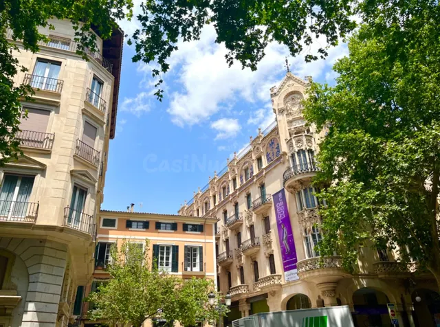 ZONA BORNE - ZONA AYUNTAMIENTO 170 M2 VIVIENDA