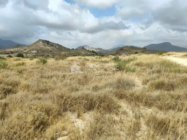SE VENDE PARCELA GRANDE EN ASPE ZONA DE BORISA — 2