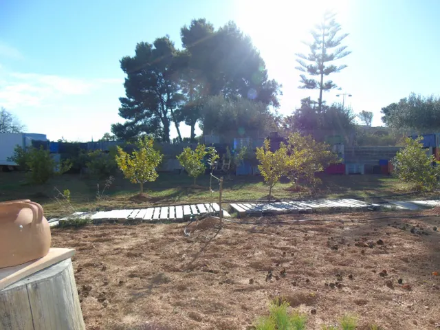 Se vende solar rústico en Campolivar. /H H Asesores, Inmobiliaria en Burjassot/ — 14