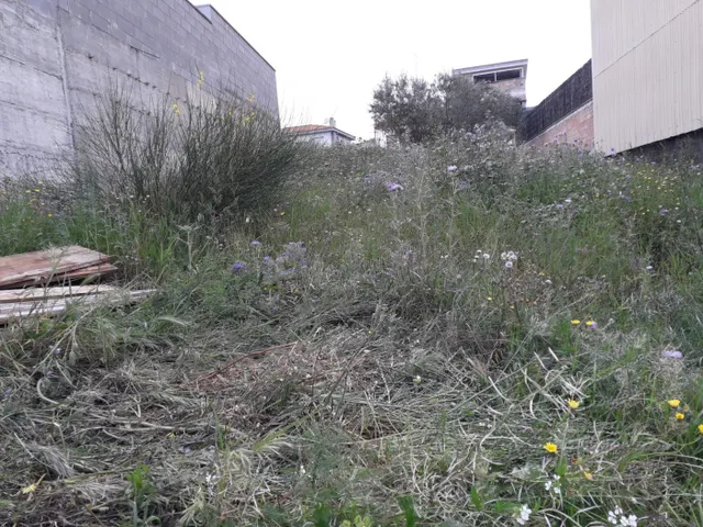TERRENO URBANIZABLE — 9