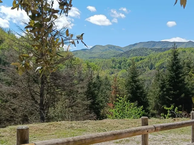 SOLAR URBÀ EN VENDA - PER A FER CASA 4 VENTS - ESPINELVES