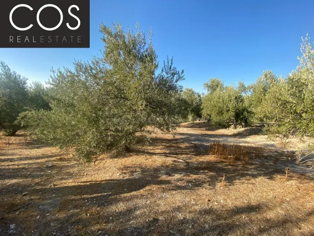 Parcela 40m² en venta - Urbanizacion azahar — 4