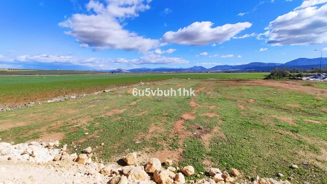 Parcela en venta - Andalucia - foto 4