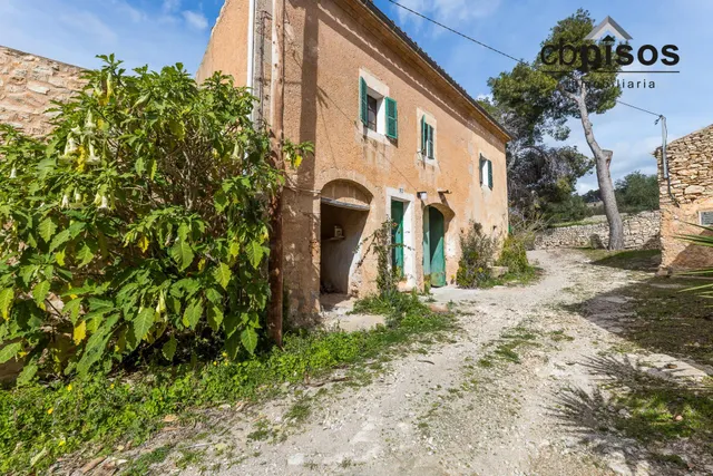 SE VENDE EXCLUSIVA FINCA RÚSTICA EN FELANITX — 50