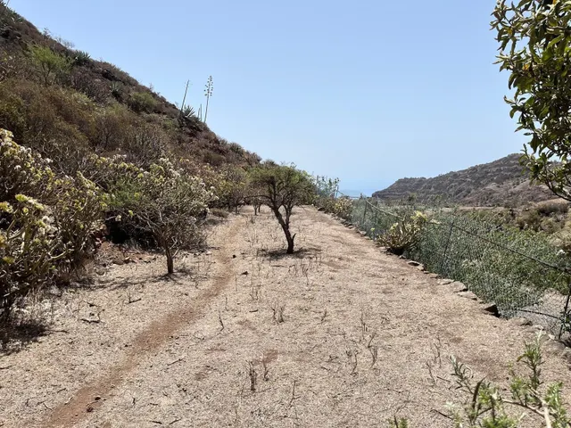 Finca rústica protegida de 31.591 m2 en Vegaipala – La Gomer - foto 3