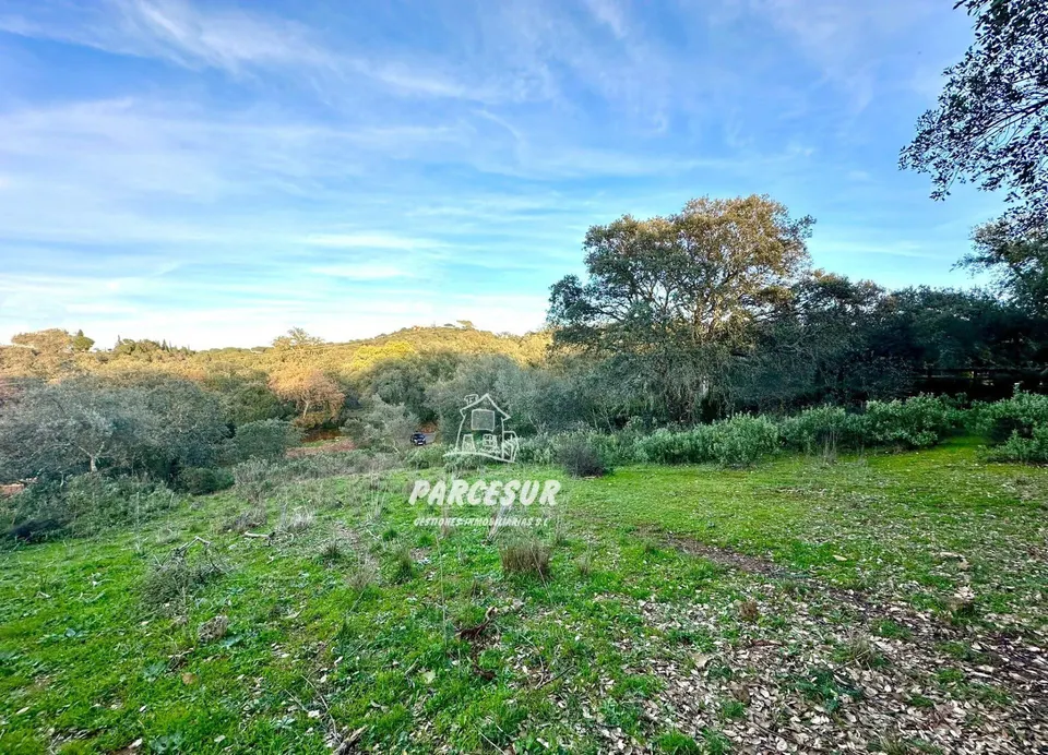 PARCELA EN ZONA ASSUAN MUY BIEN SITUADA DE 6000 m2 aprox.