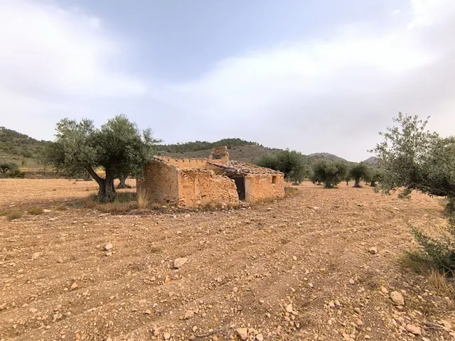 Parcela en venta - Ayuntamiento — 10