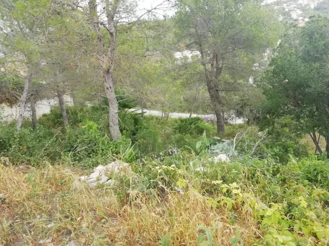 Parcela en Canyelles (California) 491m2 — 4