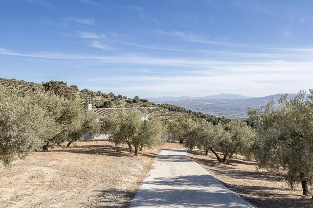 Casa rural en término de Montefrío. — 35