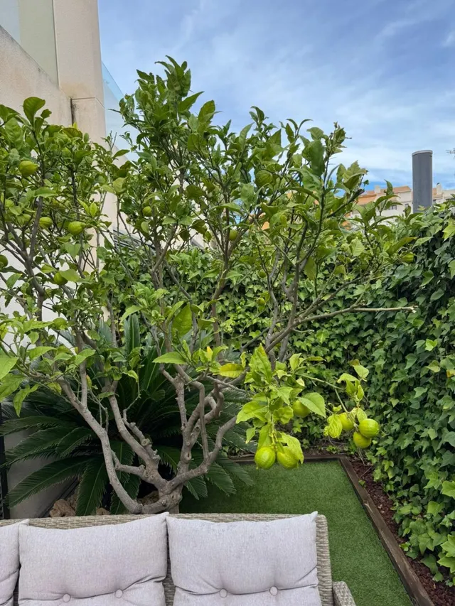 Casa 3 habitaciones 127m² en venta - Punta Prima — 30
