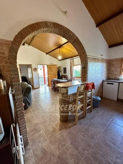 ADAMUZ - FINCA AGRICOLA DE 6 Has. CON CASA. — 7