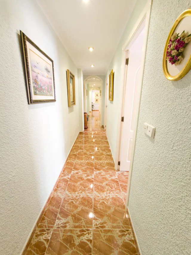 ¿Y si tu próxima casa estuviera en el corazón de Elche… y pudieras adaptarla a tu manera? ✨ — 29