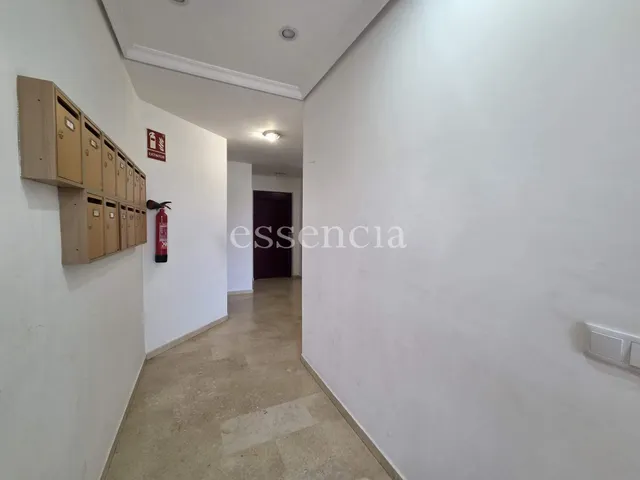 Vivienda de 3 dormitorios con piscina — 20