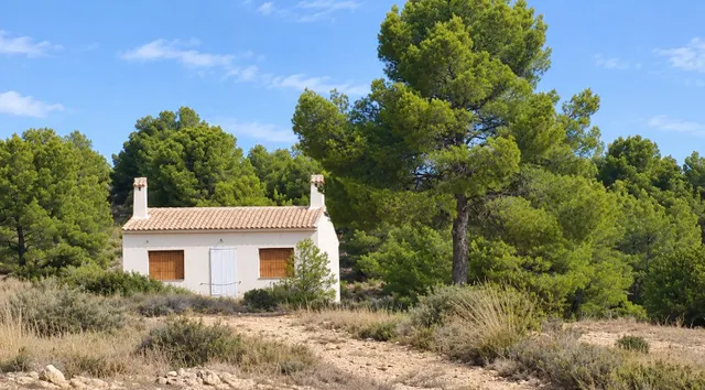 Piso 70m² en venta - Comunidad valenciana — 6