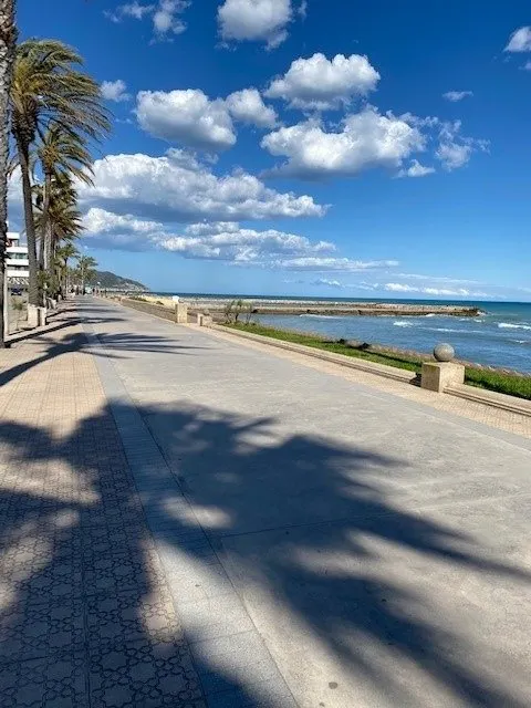 Planta baja en venta en Parc de Mar — 24