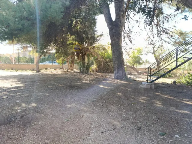 Finca con 2 casas y una nave, a la venta en la Hoya, Lorca - foto 5