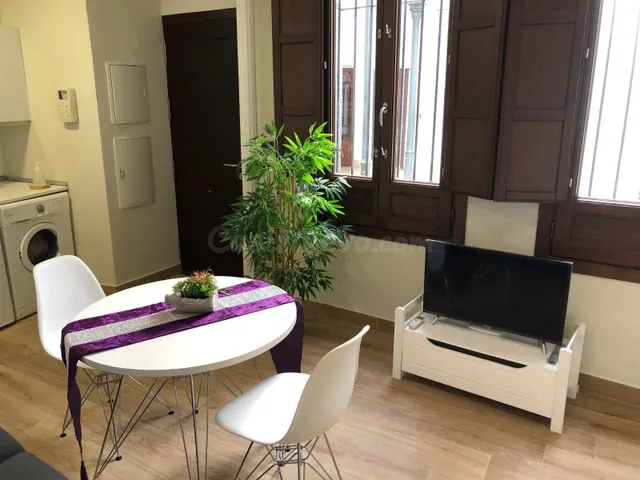 Apartamento turístico con licencia VFT activa en pleno centr - foto 5