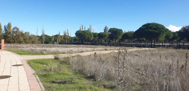 Urbis te ofrece parcelas urbanas en Aldeamayor de San Martín, Valladolid. — 5