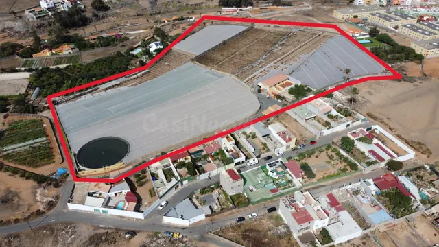 SE VENDE FINCA EN PRODUCCION AGRICOLA CON CASA