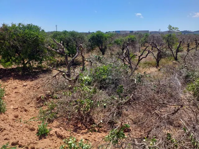 TERRENO ECONÓMICO RUSTICO A LA VENTA EN MONCADA.ZONA POLIGON - foto 5