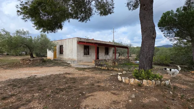 Encantadora Finca Rústica con Casa de Campo a 5 km de L’Amet - foto 2