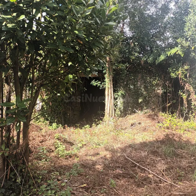 Casa Rural en Santa Comba: Oportunidad Única para Reformar - foto 5