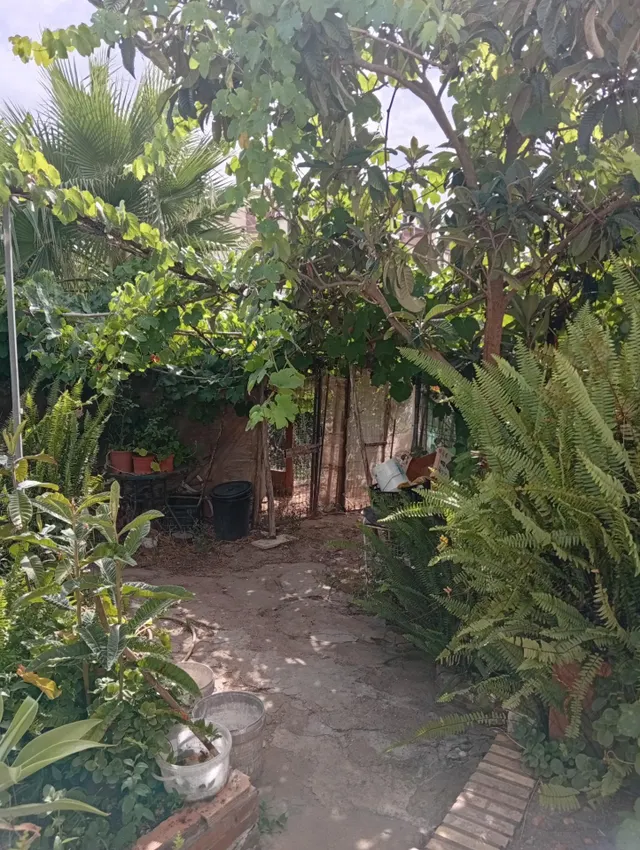 ¡Gran oportunidad en La Villa! Casa con 1.500 m2 de terreno urbano y garaje edificable en Ayamonte — 28