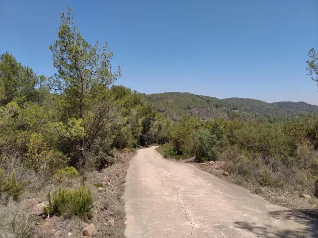 FINCA RUSTICA EN VILLAFAMES CON CASETA DE APEROS - foto 2