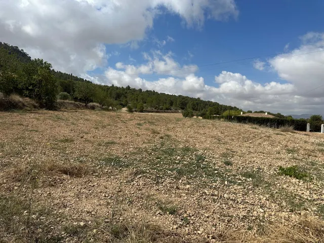 Parcela de 11000 metros — 9