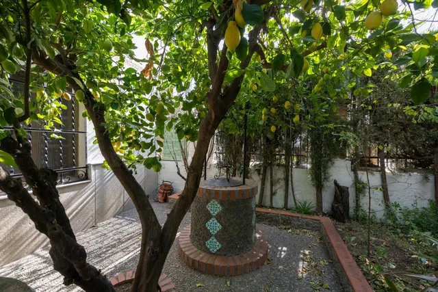 EXCLUSIVA FINCA CON 30.000 m2 DE SUELO URBANIZABLE EN OGÍJARES (GRANADA) – VIVIENDA, PISCINA Y GRAN POTENCIAL DE INVERSIÓN — 22