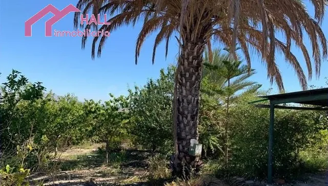 Terreno rural en venta - Paraje La Jaira - foto 5