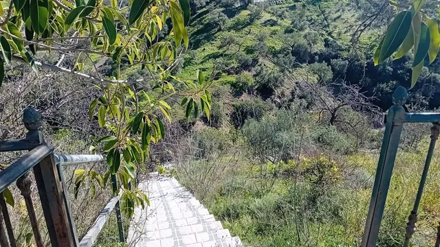 Finca rústica 4 habitaciones 115m² en venta - Marbella — 27
