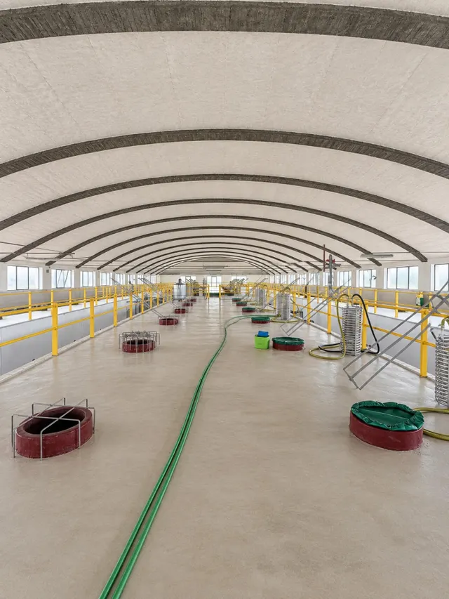 BODEGA DE PRODUCCIÓN D.O. PENEDÈS - foto 3