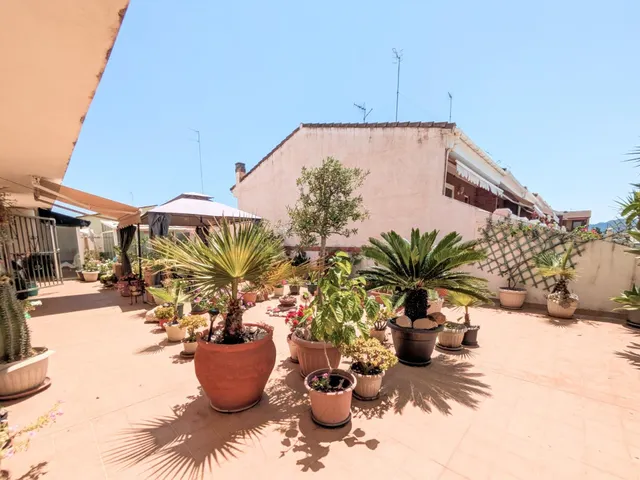 VIVIENDA UNICA EN AMPOSTA - foto 4