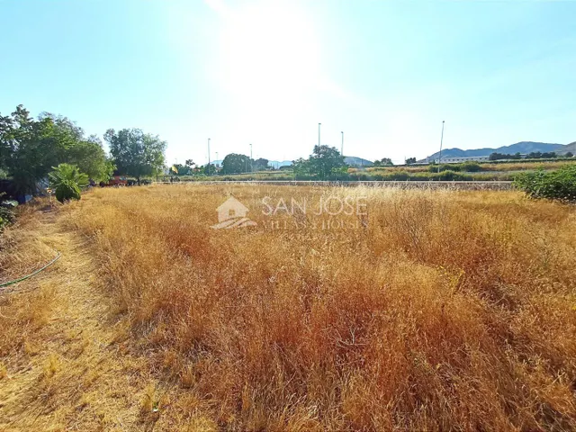 VENTA DE PARCELA ENTRE LA ROMANA Y ASPE — 20