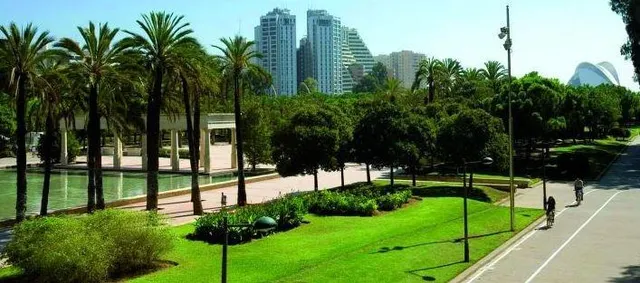 Piso de tres dormitorios en Monteolivete. — 23