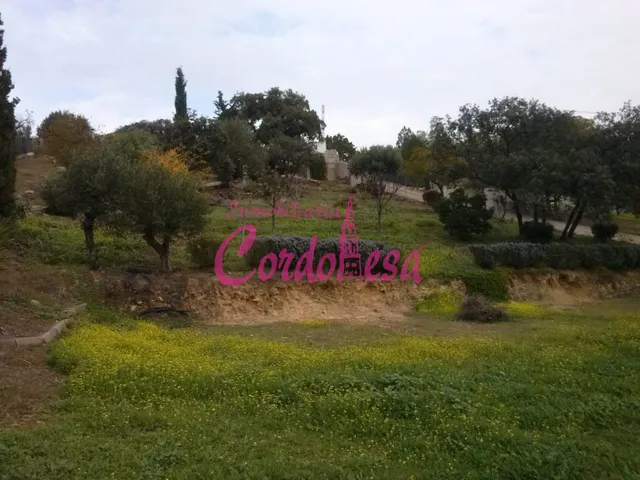 MAGNÍFICO TERRENO URBANO EN ALCOLEA — 4