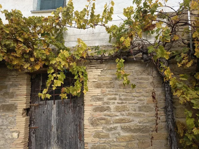 Casa con Huerto. Sada — 32