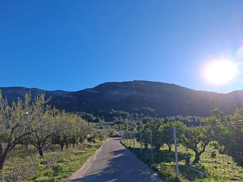 Se venden varias parcelas unificadas con un total de 24158 m2 en Benigembla,