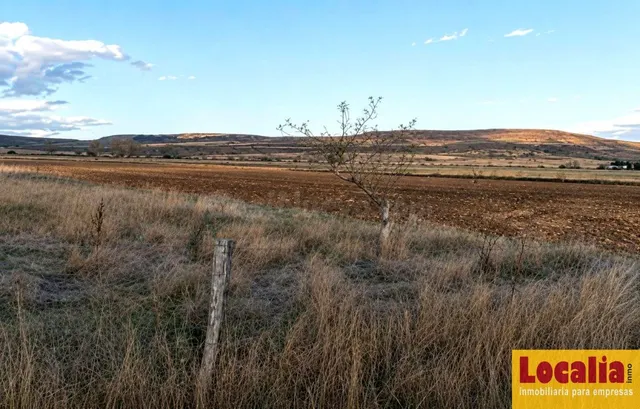 Extenso terreno en Pomar de Valdivia, Palencia — 3