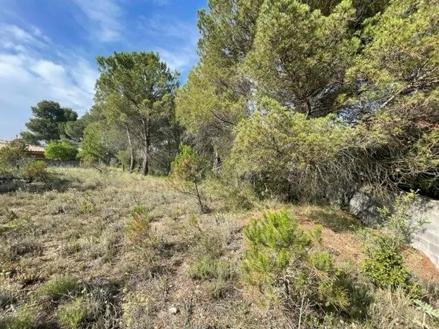 PARCEL.LA EN VENDA EL XARÓ — 11