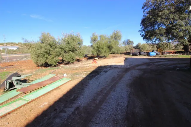 FINCA CON NAVE Y VIVIENDA MUY PRÓXIMA A RONDA - foto 3