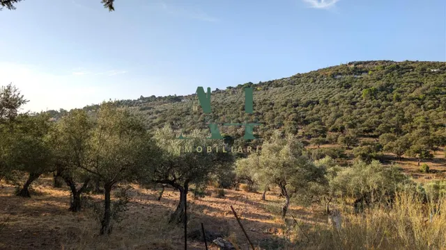 Gran Casa de Campo a 6 km de Cáceres - foto 5
