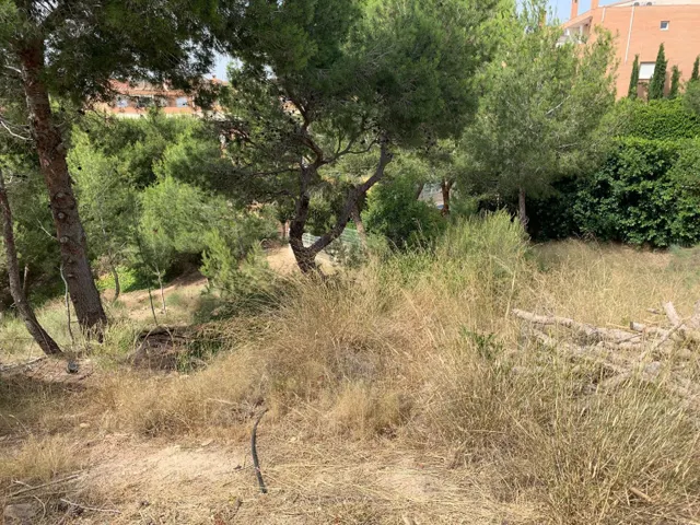 ++OPORTUNIDAD++ 2 parcelas en venta de 800m cada una en urbanizacion Altorreal++ total 1600 m. — 6