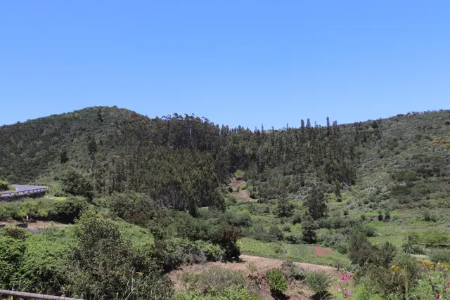 Terreno Agrario en Venta â Zona de Erjos (municipio de Los Silos / El Tanque) — 4