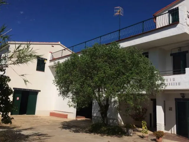 MASIA DEL 1960 CON 39000M2 DE TERRENO AGRICOLA AL LADO DEL MAR DE SANT SALVADOR — 5