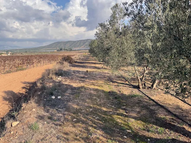 Terrenos urbanizables en venta en Salinas - foto 4