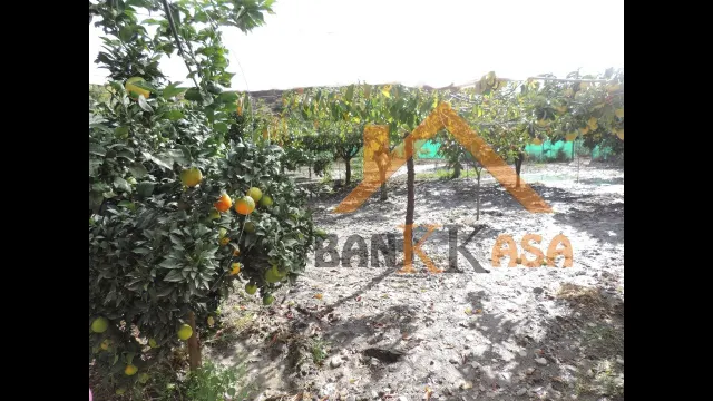 SE VENDE CASA CON TERRENO EN CHERÍN (UGÍJAR) PROVINCIA DE GRANADA — 31