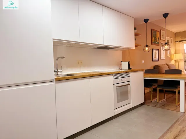 Ático 2 habitaciones 125m² en alquiler - 1a linea - foto 3