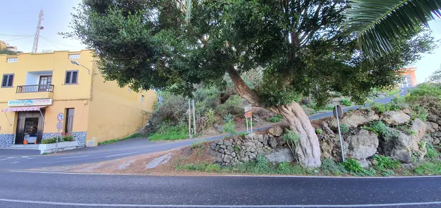 Terreno Urbano en La Guancha - foto 4